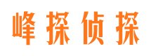 漠河婚外情调查取证